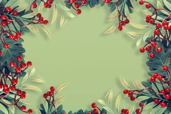 秋天的橡木和橄榄树枝条 绿色背景的红色浆果 — 图库照片