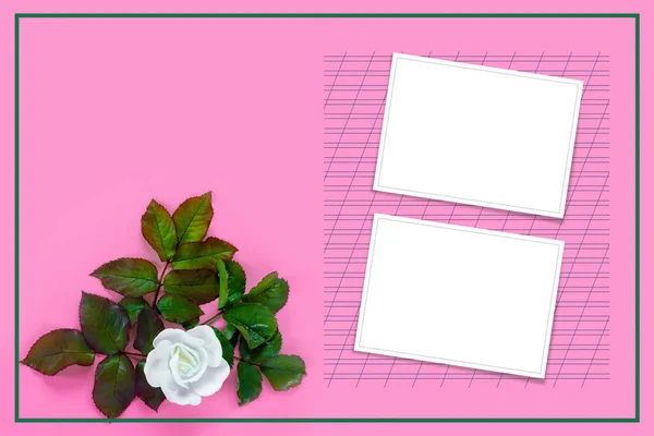 粉色纸背景上的一束美丽的白玫瑰和绿叶 创意贺卡 — 图库照片