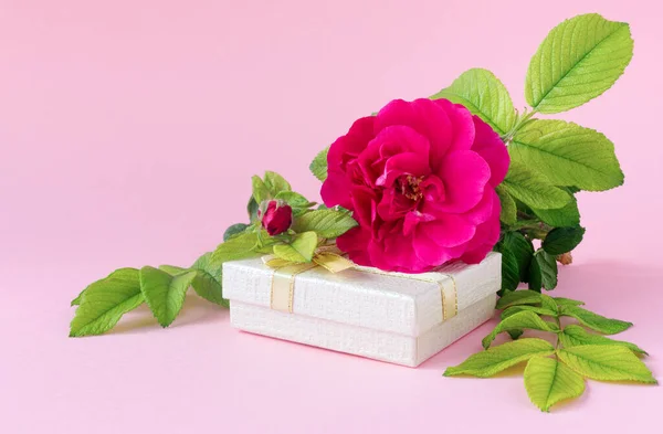 繊細な紙の背景に金色のギフトボックスと緑の葉で美しいピンクのバラ 結婚式の招待状 テキストのための空の場所で — ストック写真