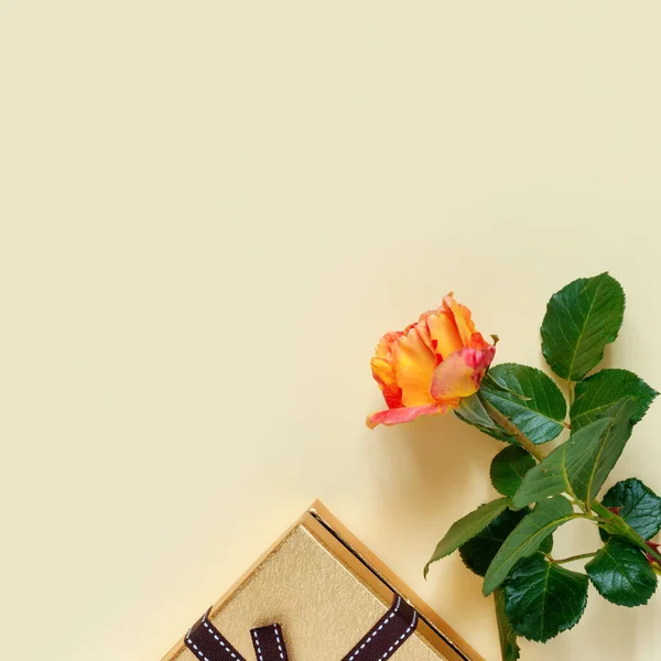 Mooie Roze Rozen Met Gouden Geschenkdoos Strik Delicate Gele Papieren — Stockfoto