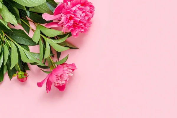 ピンクの繊細な紙の背景に美しい牡丹の花束 — ストック写真