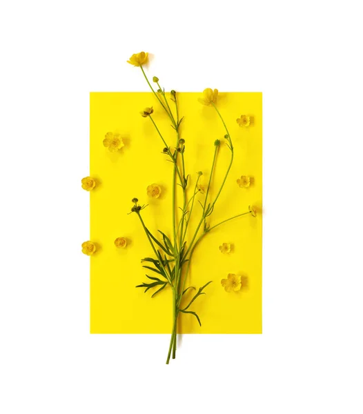 Krásná Jemná Pohlednice Vzorem Žluté Máslové Květy Sváteční Pozdrav Nebo — Stock fotografie
