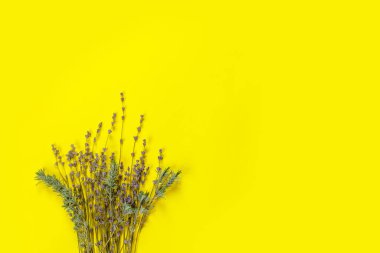 Sarı kağıtta kutlama dekorasyonu için mor lavanta. Eski bir çiçek kartı. Tatil partisi dekorasyonu. Düz konum, üst görünüm, uzay konseptini kopyala.