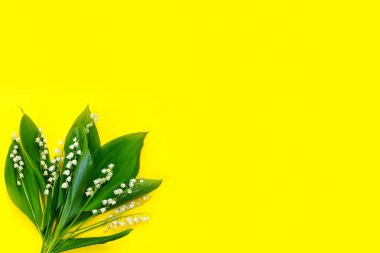 Pastel sarı arka planda vadideki beyaz zambak dalları çiçek düzenliyor. Bahar doğası kavramı. Yaratıcı yerleşim.