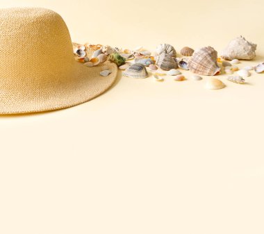 Okyanus kıyısında kabuklu güzel bir hasır şapka. Doğa yaz arkaplanı.