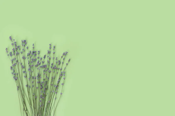 Lavanda Púrpura Para Celebración Diseño Decoración Sobre Fondo Papel Verde —  Fotos de Stock