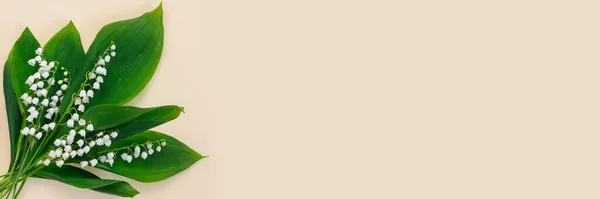 Цветочная Композиция Белых Веточек Лилии Долины Пастельно Желтом Фоне Весенняя — стоковое фото