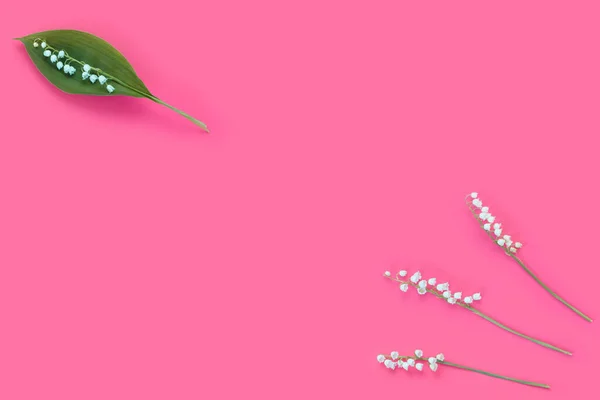 Ροζ Φόντο Λευκό Ντελικάτο Κρίνο Της Κοιλάδας Λουλούδια Για Κάρτα — Φωτογραφία Αρχείου