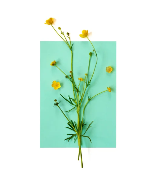 Mooie Delicate Ansichtkaart Met Patroon Van Gele Boterbloem Voor Vakantie — Stockfoto