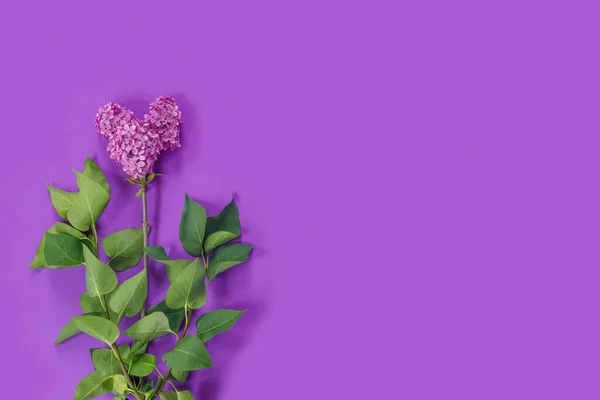 紙の背景にライラックの花束とバレンタインデーカード 象徴的な心 — ストック写真