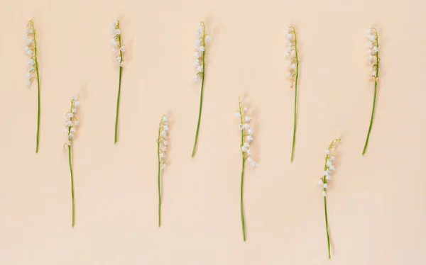 母の日カードの谷の花の白い繊細なユリと黄色の背景 現代的なミニマルフラットレイアウト — ストック写真