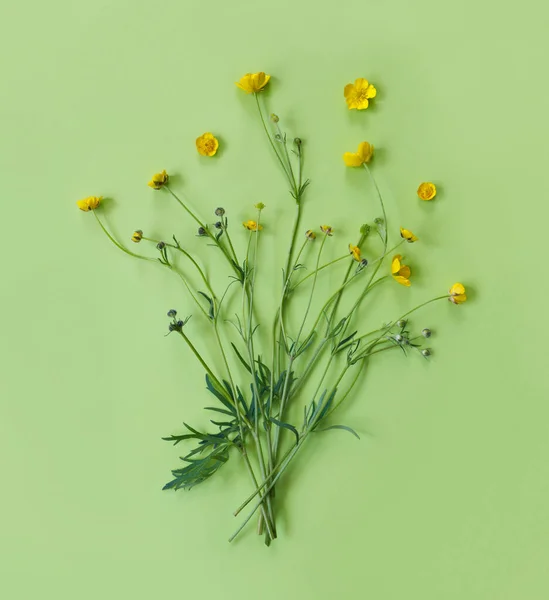 Mooie Delicate Ansichtkaart Met Patroon Van Gele Boterbloem Voor Vakantie — Stockfoto