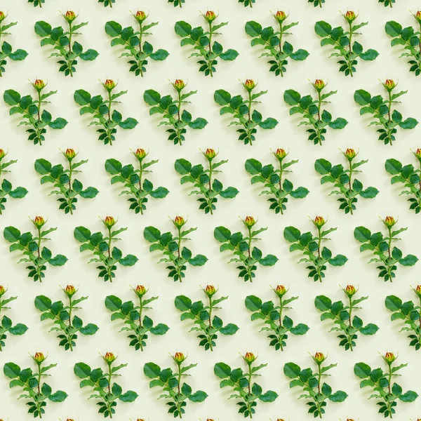 Çiçekler Sevgililer Günü Kompozisyonu Yeşil Arkaplanda Pembe Gülden Yapılmış Çerçeve — Stok fotoğraf