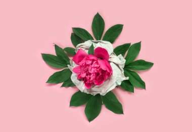 Arka planda kaliteli ambalaj kağıdı olan bir buket güzel pembe şakayık. Minimum konsept arkaplan. Metin için şablon. Kavramsal bahar bayrağı.