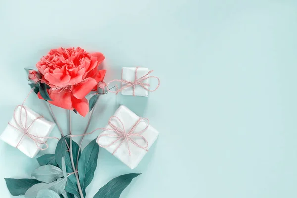 Bouquet Belle Peonie Rosa Con Confezioni Regalo Involucro Carta Banner — Foto Stock