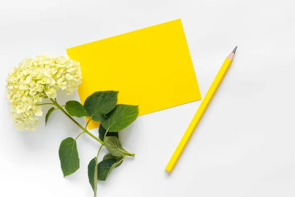 Bellissimo Bouquet Ortensie Con Carta Sfondo Bianco Biglietto Auguri Vacanze — Foto Stock