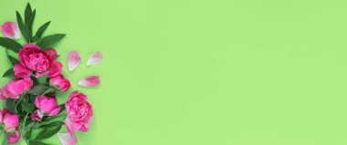 Yeşil kağıttan arka planda güzel pembe şakayıklar. Yaratıcı bahar konsepti. Kutlama kartı..