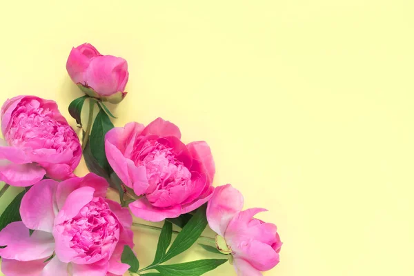 黄色の紙の背景に美しいピンクの牡丹の花束 創造的な春の概念 お祝いのグリーティングカード — ストック写真