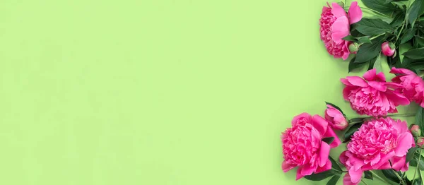 緑の紙の背景に美しい繊細なピンクの牡丹の花束 最小限のコンセプト背景 — ストック写真