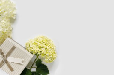 Beyaz arka planda hediye kutusu olan güzel ortanca buketi. Tatil için tebrik kartı. Metin için kopyalama alanı olan yaratıcı arkaplan.