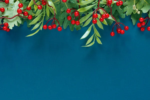 秋天的橡木和橄榄树枝条 蓝色背景的红色浆果 — 图库照片