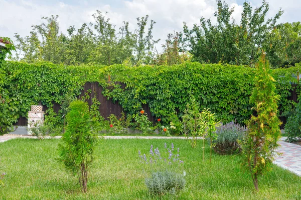 Jardín Tranquilo Con Césped Recién Cortado Verde Hierba Fresca Árboles —  Fotos de Stock