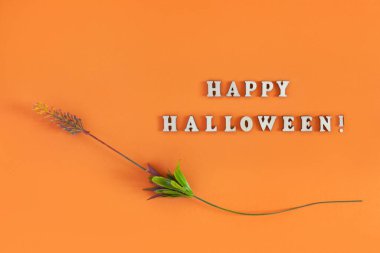 Turuncu arka planda çiçek olan Cadılar Bayramı kartı. Tebrikler ya da davetiyeler için pankart.