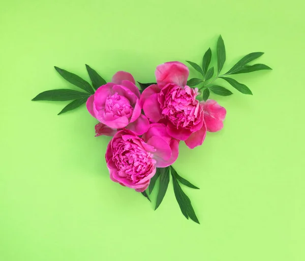 Ramo Hermosas Peonías Rosadas Sobre Fondo Papel Verde Concepto Creativo — Foto de Stock