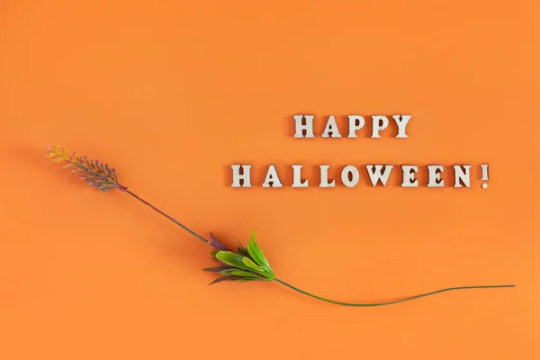 Halloween Kaart Met Bloem Oranje Achtergrond Banner Voor Felicitaties Uitnodiging — Stockfoto