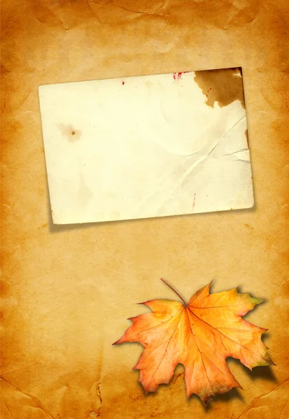 Grunge paper design in scrapbooking style with photoframe and au — Stock Photo, Image
