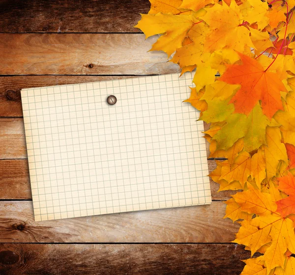 Stary papier z gałąź jesień klon liście na drewniane b — Zdjęcie stockowe