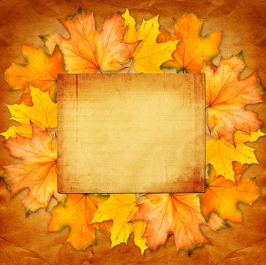 Grunge kağıt scrapbooking tarzı fotoğraf çerçevesi ve au tasarımında