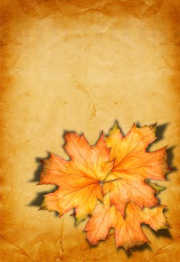 Grunge kağıt scrapbooking tarzı fotoğraf çerçevesi ve au tasarımında