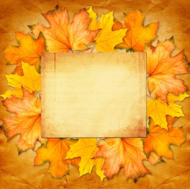 Grunge kağıt scrapbooking tarzı fotoğraf çerçevesi ve au tasarımında