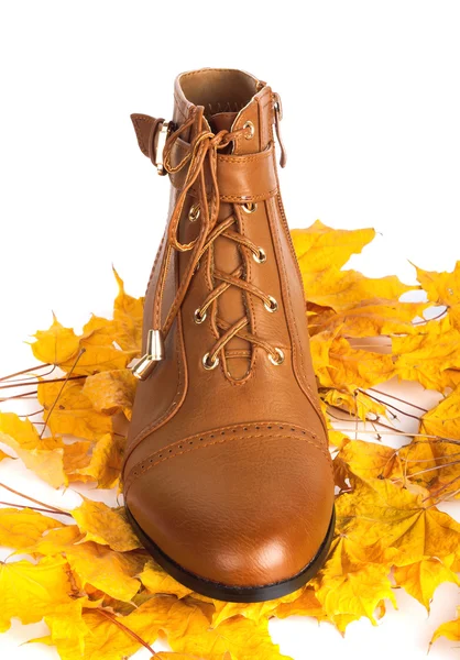 Brown female boots on a background of golden autumn leaves — Stock Photo, Image