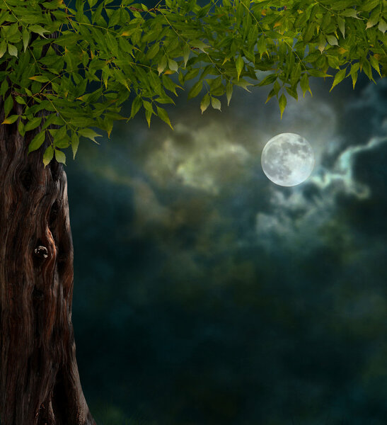 Fabulous night scenery, ancient trees, the bright moon