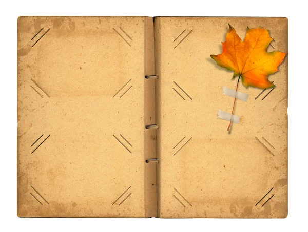 Open vintage photoalbum for photos with autumn foliage on white — Stock Photo, Image