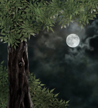 muhteşem gece sahne, eski ağaçlar, parlak ay