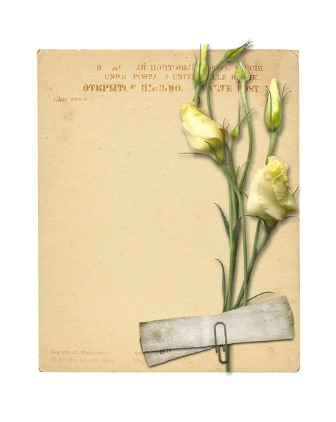 Uppsättning av gamla arkivbeständigt papper och vintage vykort med bukett — Stockfoto