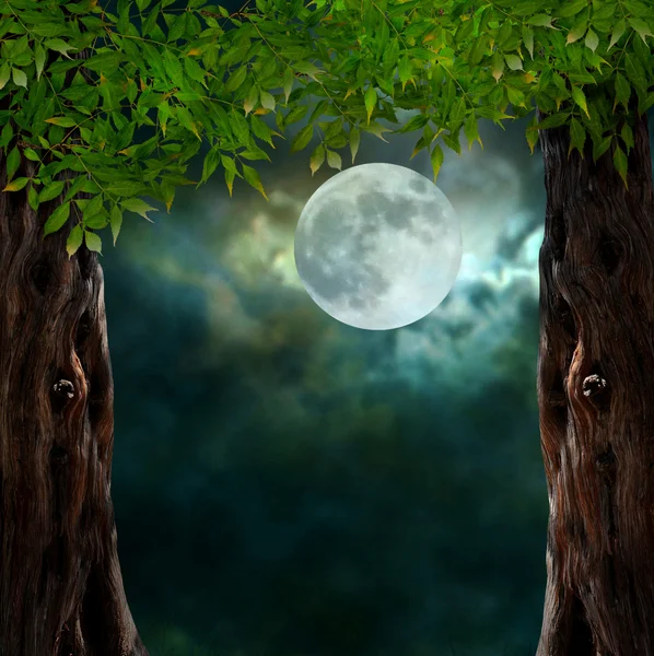 Fabulous night scenery, ancient trees, the bright moon — Stock Photo, Image