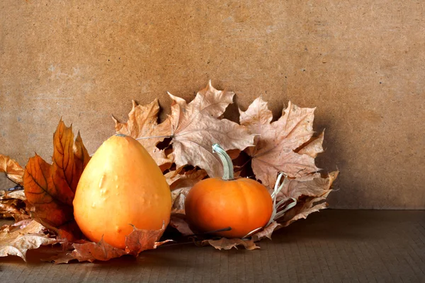 Haufen von Kürbissen mit Herbstlaub auf abstraktem Hintergrund — Stockfoto