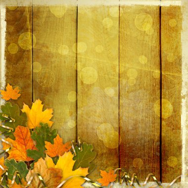 geri soyut güzel parlak renkli sonbahar yaprakları