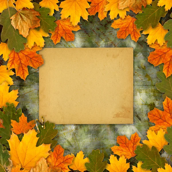 Brillantes hojas multicolores de otoño en la hermosa espalda abstracta — Foto de Stock