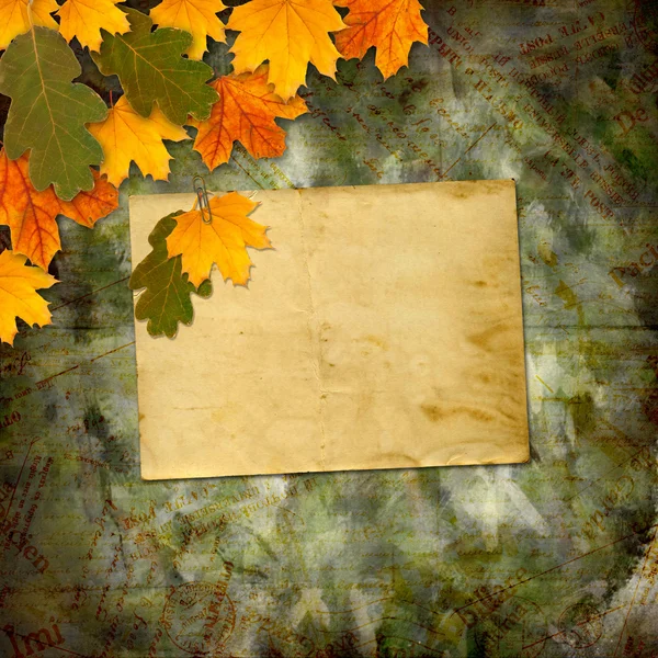 Jasne wielobarwny autumn listowie na streszczenie piękny powrót — Zdjęcie stockowe