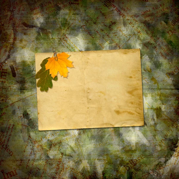 Jasne wielobarwny autumn listowie na streszczenie piękny powrót — Zdjęcie stockowe