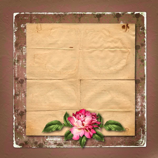 Bela rosa pintada com molduras para parabéns ou invita — Fotografia de Stock