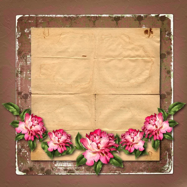 Beautiful painted rose with frames for congratulations or invita — Stock Photo, Image