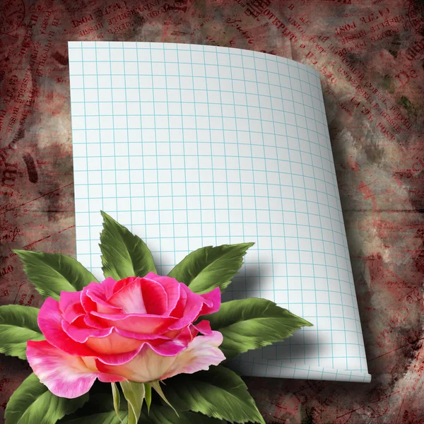 Beautiful hand drawn rose branch and sheet of paper on abstract — Stock Photo, Image