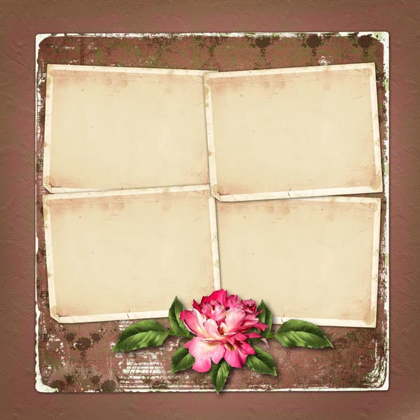 Bela rosa pintada com molduras para parabéns ou invita — Fotografia de Stock
