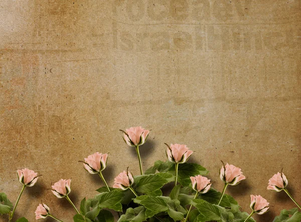 Tarjeta antigua vintage con hermosas rosas rosadas sobre fondo de papel — Foto de Stock